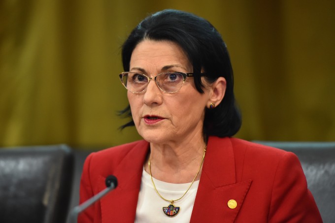 ecaterina andronescu ecaterina andronescu