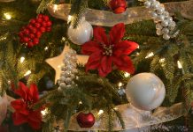 Alegerea decoratiunilor pentru brad indica posibile afectiuni