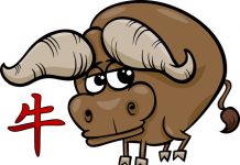 Horoscop chinezesc 2021 – Anul Boului de metal