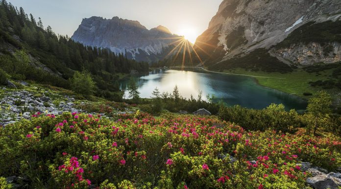 De ce sunetele naturii sunt atat de bune pentru sanatatea si bunastarea ta