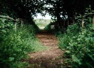 327 Citate Despre Viata Si Sentimente – Cele Mai Inspirationale Si Frumoase Citate